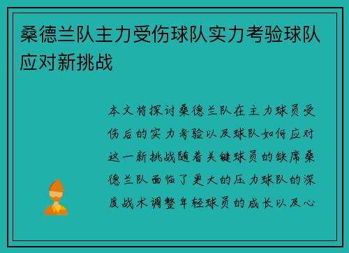 桑德兰队主力受伤球队实力考验球队应对新挑战