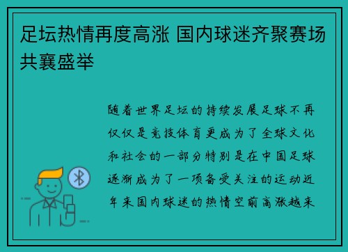 足坛热情再度高涨 国内球迷齐聚赛场共襄盛举